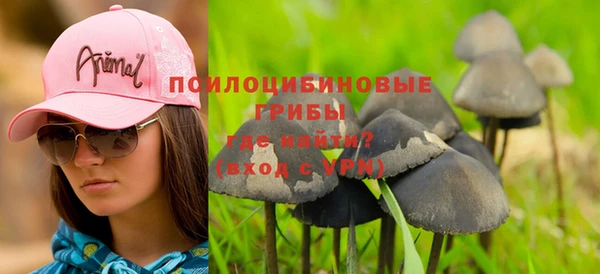 ГАЛЛЮЦИНОГЕННЫЕ ГРИБЫ Инсар