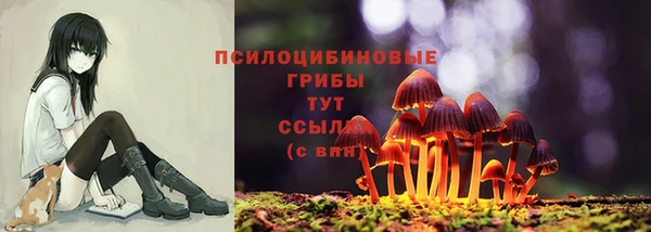 соль ск Инта