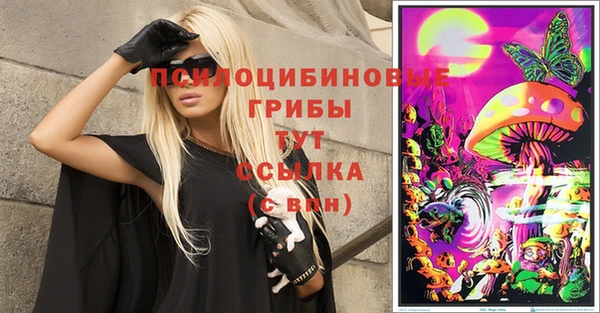 ГАЛЛЮЦИНОГЕННЫЕ ГРИБЫ Инсар