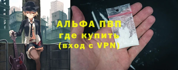 ГАЛЛЮЦИНОГЕННЫЕ ГРИБЫ Инсар