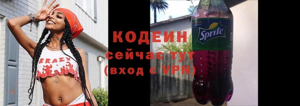 соль ск Инта