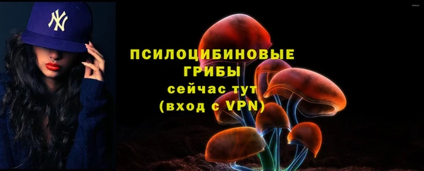 скорость mdpv Каменка