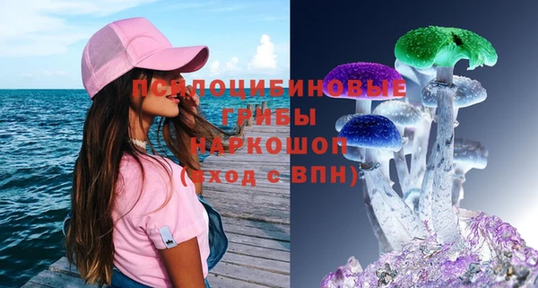 шишки Каменск-Шахтинский