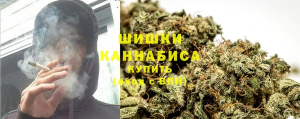 ГАЛЛЮЦИНОГЕННЫЕ ГРИБЫ Инсар