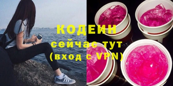 ГАЛЛЮЦИНОГЕННЫЕ ГРИБЫ Инсар