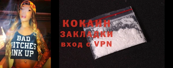 ГАЛЛЮЦИНОГЕННЫЕ ГРИБЫ Инсар