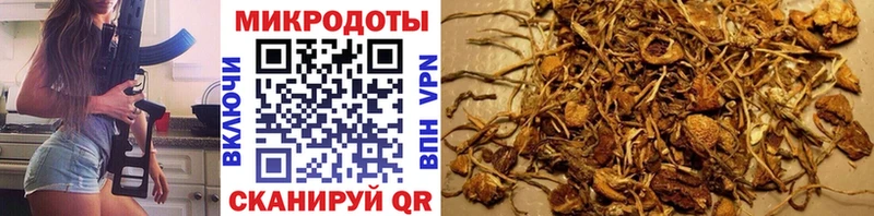Галлюциногенные грибы GOLDEN TEACHER Купить Сасово